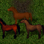 orlow.png
