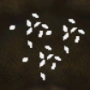 splitter.png